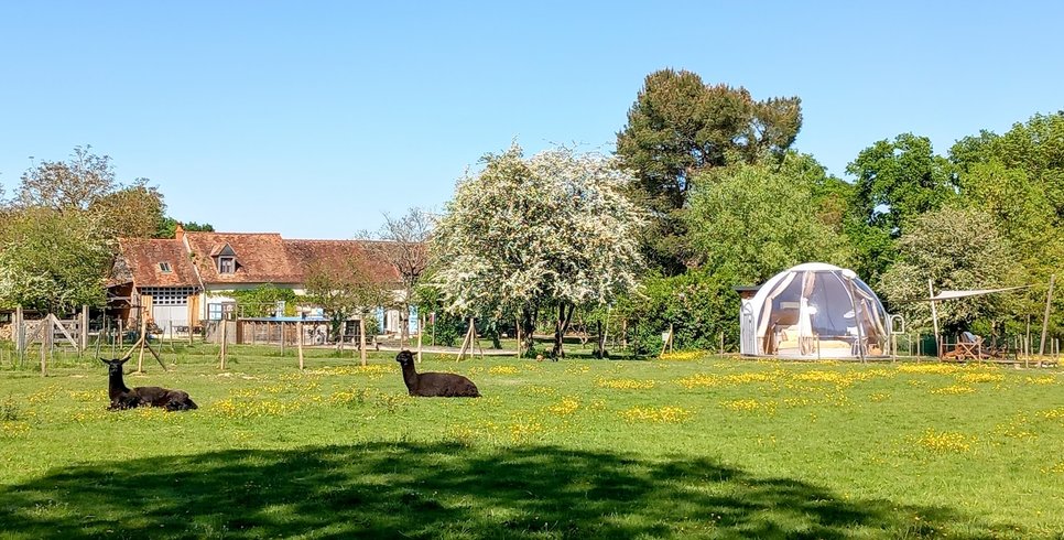 Hébergement AbracadaRoom : La Bulle des Alpagas - Image 6
