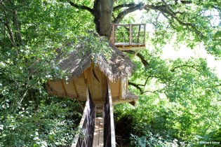 Cabane dans les arbres Seine-Maritime
