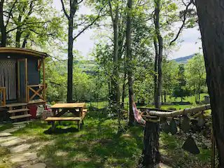 Hébergement AbracadaRoom : Roulotte Colibri - Image 5