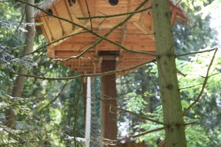 Cabane dans les arbres Ille-et-Vilaine