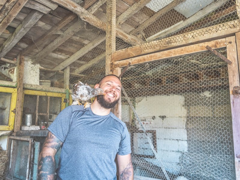 Hébergement AbracadaRoom : ECOLODGE LE PINOT GRIS - Image 20