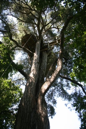 Hébergement AbracadaRoom : Cabane Cocon - Image 12