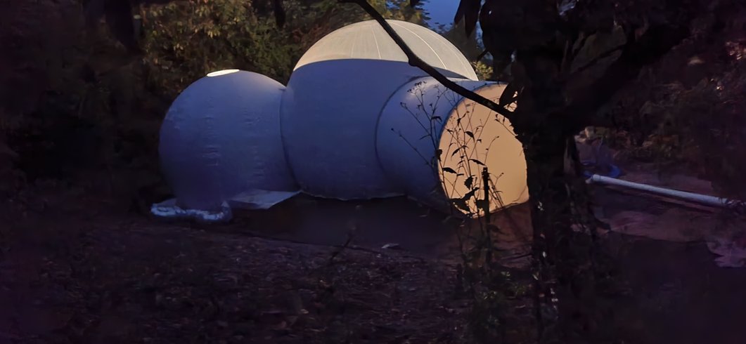 Domaine AbracadaRoom : Les Bulles du  Coq de Champagne - Image 22