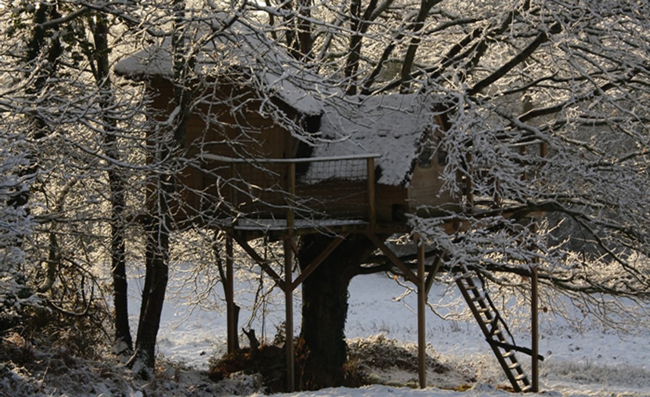 La Cabane perchée Heol à Ploemel (7)