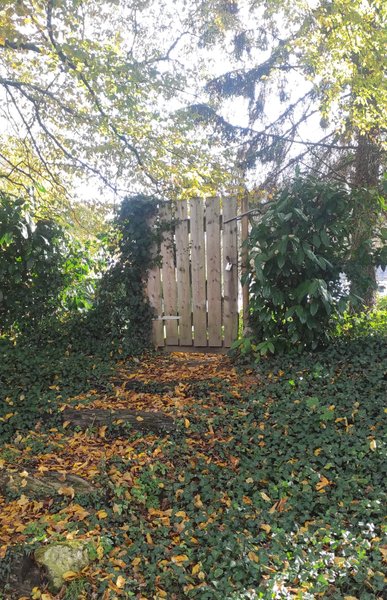 Hébergement AbracadaRoom : Maisonnette perchée dans les arbres tout équipée - Image 18