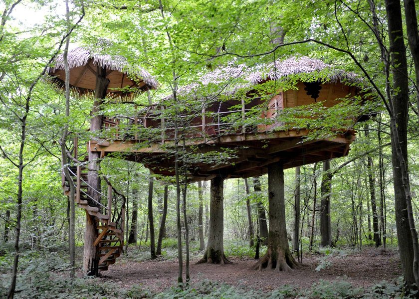 Hébergement AbracadaRoom : Robin des bois - Image 5