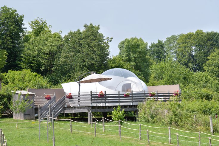 Hébergement AbracadaRoom : Bulle Ecureuil - Image 3