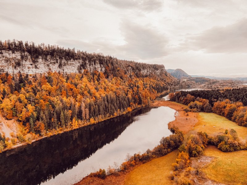 Hébergement AbracadaRoom : Cabane Spa Ecureuil - Image 20