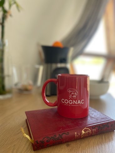 Hébergement AbracadaRoom : Le Dôme de Cognac Spa &  Sauna - Image 29