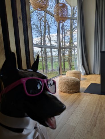 Hébergement AbracadaRoom : Panorama ROOFTOP & SPA - Image 11