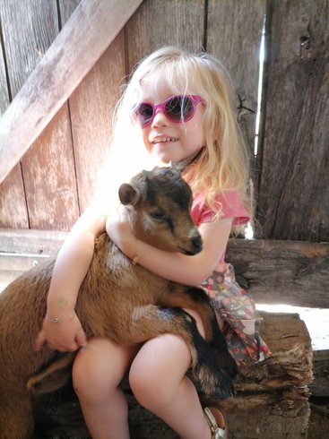 Domaine AbracadaRoom : Ecodomaine Rêver Ailleurs - Image 10