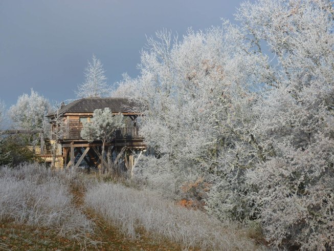 Hébergement AbracadaRoom : La Cabane-Spa des Figuiers - Image 7