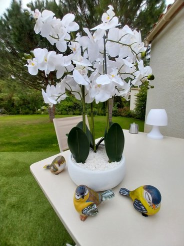 Hébergement AbracadaRoom : "M"ANON-Dôme Géodésique, piscine, spa et sauna. - Image 57