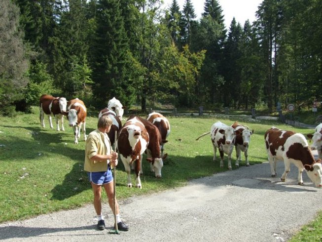 Hébergement AbracadaRoom : Yourte Mont d'Or - Image 9