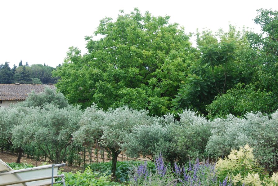 Domaine AbracadaRoom : Nid'Oiselet - Image 20