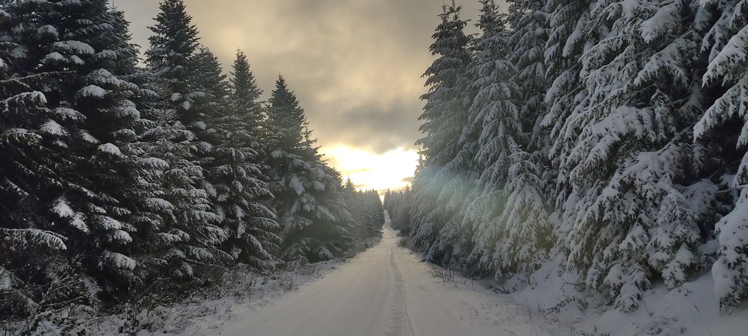 Hébergement AbracadaRoom : Bulle de Bois & Spa - Image 22