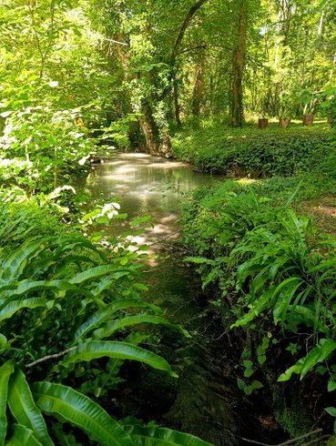 Domaine AbracadaRoom : Moulin des Merveilles - Image 8