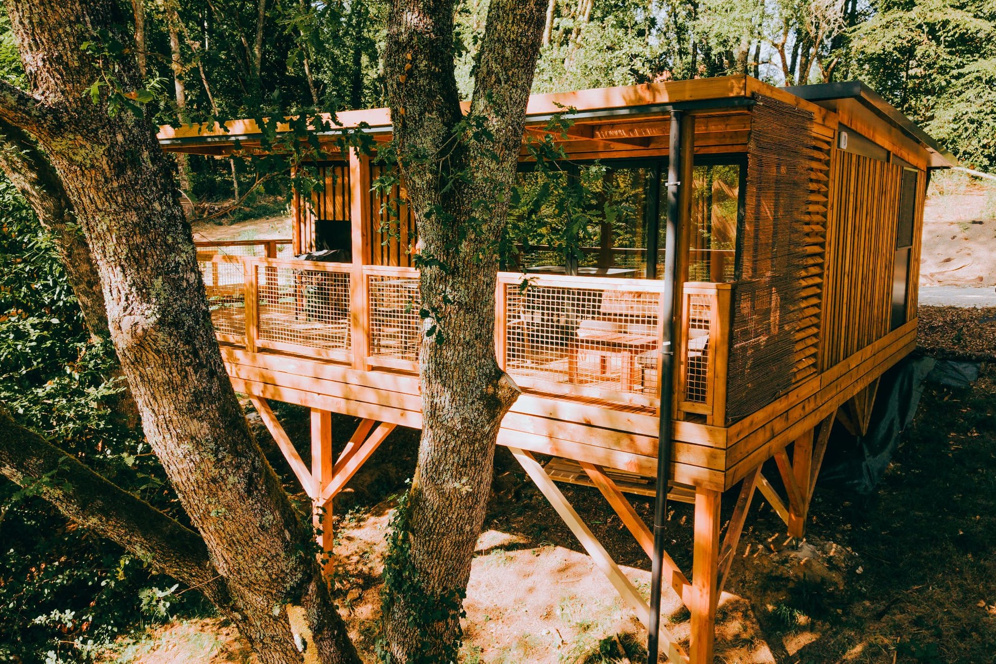 Hébergement UnicStay : Chalet Canopée à Sarlat-La-Canéda