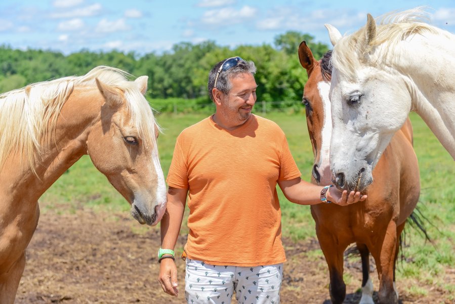 Domaine AbracadaRoom : La Noalha Insolit' - Image 2