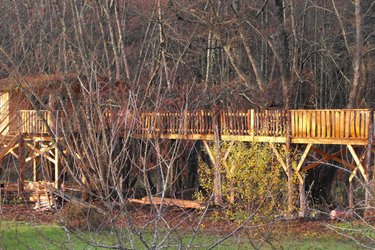 Cabane des Cerfs à Allons (3)