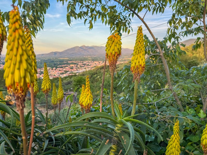 Domaine AbracadaRoom : Homnest (Céret) - Image 10