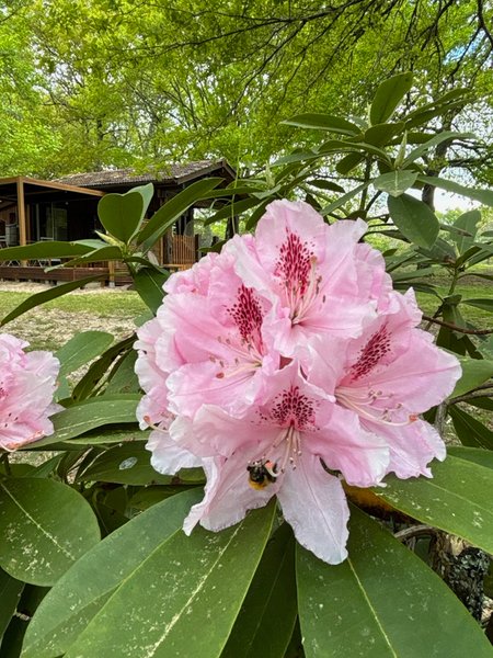 Hébergement AbracadaRoom : Chalet Romantique & Spa - Image 2