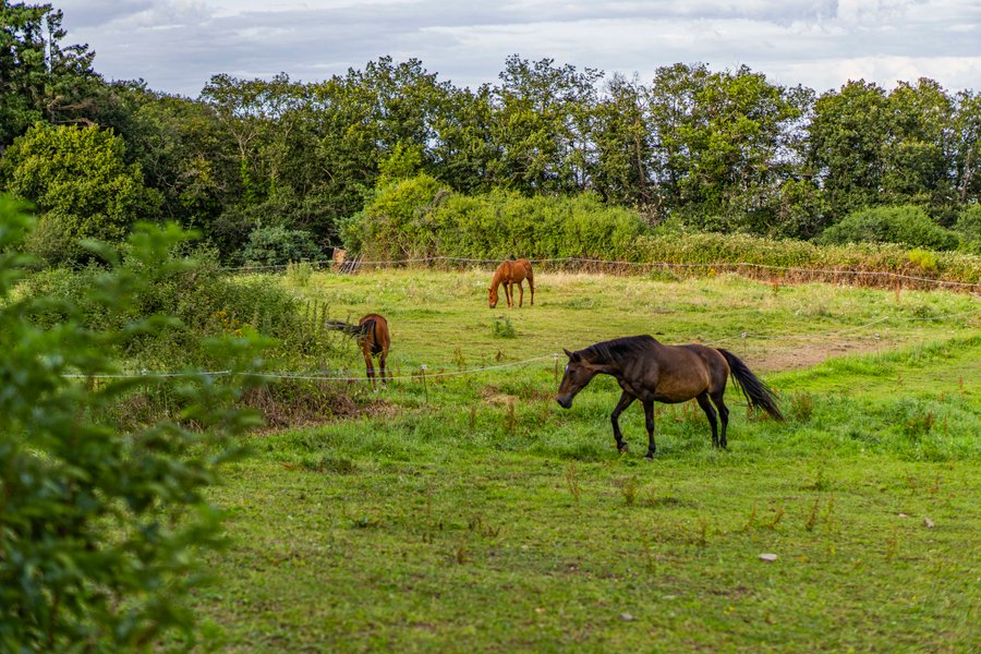 Domaine AbracadaRoom : Homnest (Chatel-Guyon) - Image 1