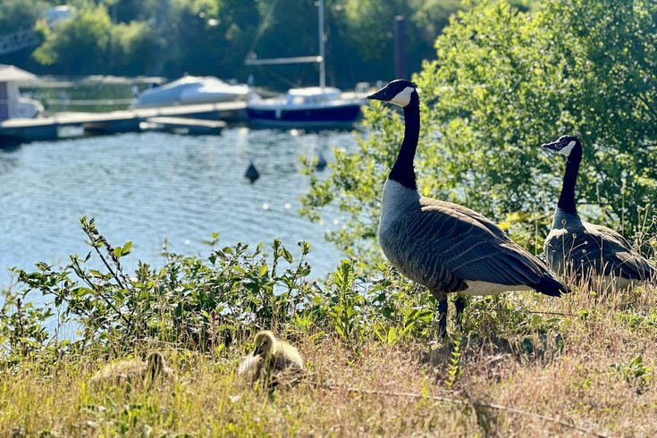 Domaine AbracadaRoom : L'Escale Royale Port Ilon - Image 12