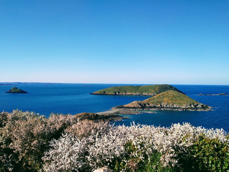 Domaine AbracadaRoom : Le Petit Gîte de Mag - Image 11