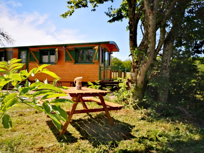 Domaine AbracadaRoom : Roulotte et Forêt : Evasion bohème en Bourgogne - Image 16