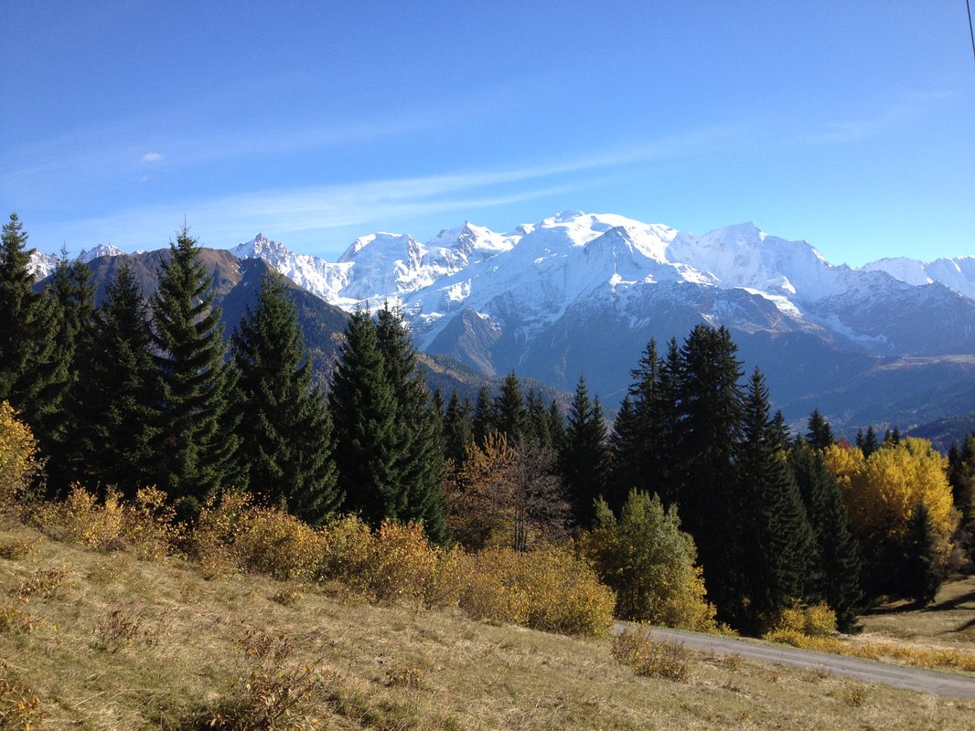 Cabane dans les arbres - La Verte, vue sur le Mont Blanc à Passy (5)