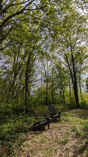 Domaine AbracadaRoom : Tiny House La Clairière - Image 10