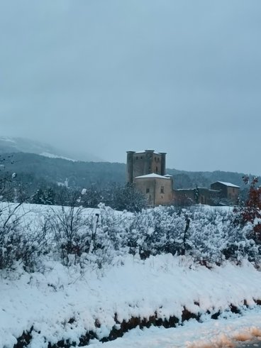 Domaine AbracadaRoom : Le Refuge de la Mandragore - Image 21