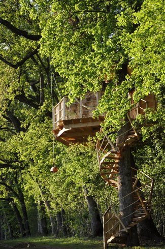 Hébergement AbracadaRoom : Cabane Asiatique - Image 2