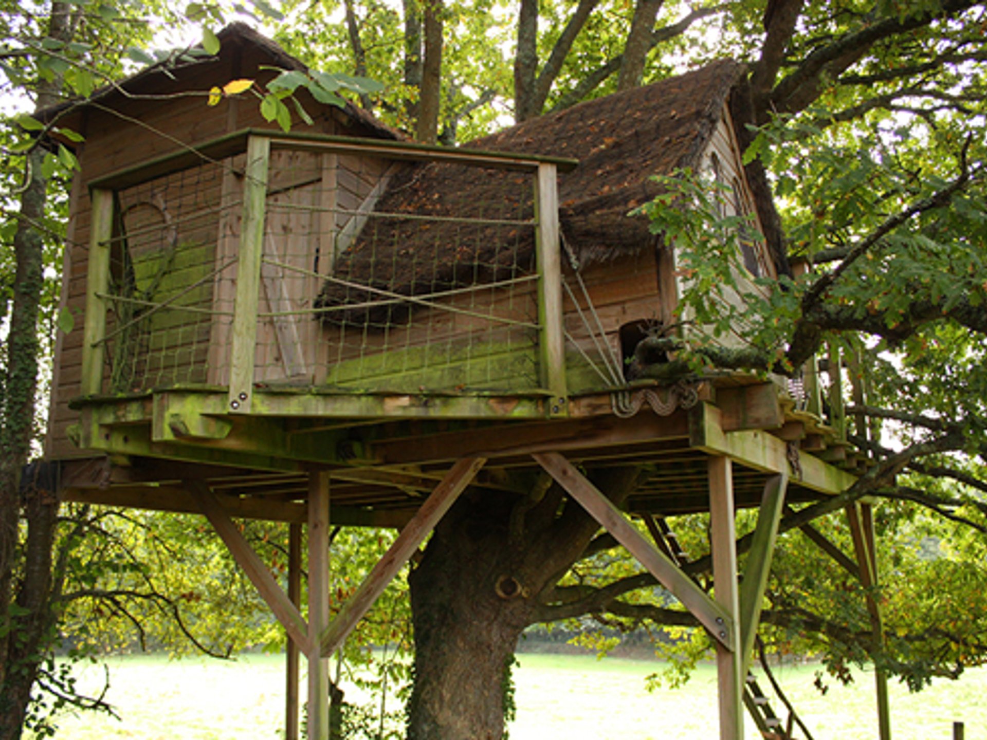 La Cabane perchée Heol