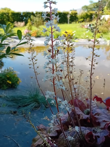 Domaine AbracadaRoom : Chez Paoù - Image 25