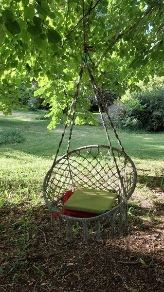 Domaine AbracadaRoom : Graines de nature - Image 12