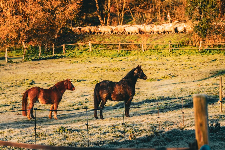 Domaine AbracadaRoom : Homnest (Charbonnieres) - Image 13