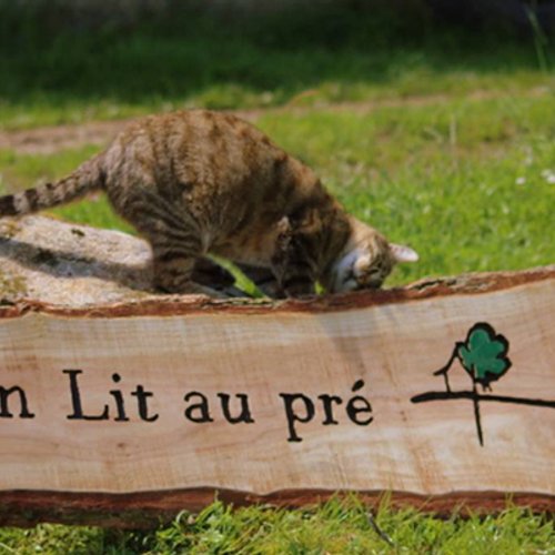 L'équipe Un Lit au Pré