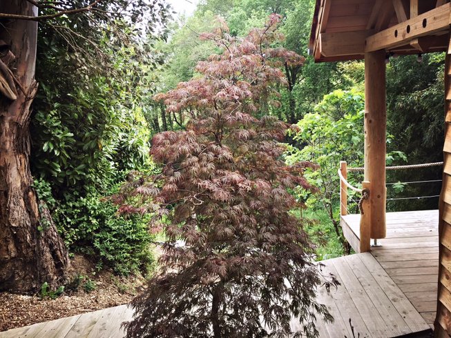 Domaine AbracadaRoom : Maison Blanche ETXE XURIA Côte Basque - Image 5