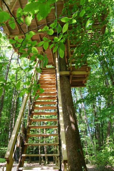 acces-escalier-cabane-belle