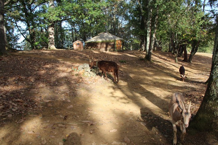 Domaine AbracadaRoom : Au Bois d'Escoumos - Image 14