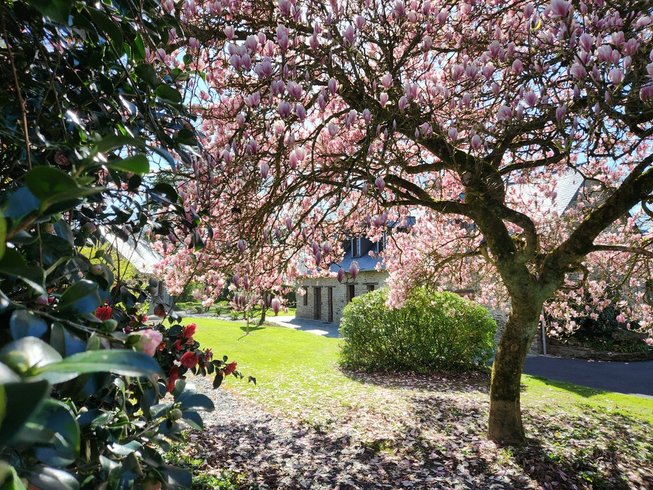 Domaine AbracadaRoom : Le cocon d'amour - Image 1