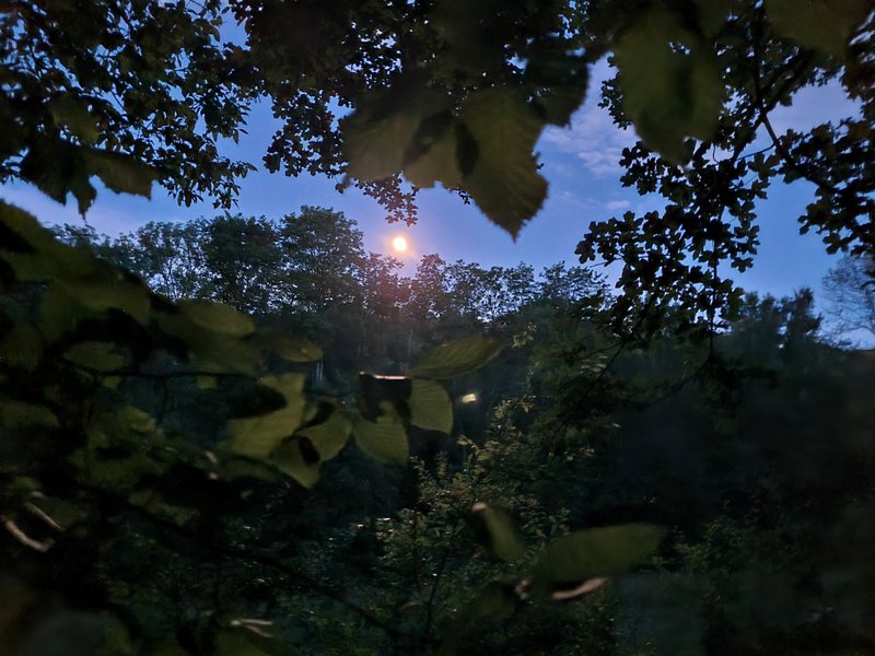 Domaine AbracadaRoom : Domaine du Moulin de Trimeule - Image 13