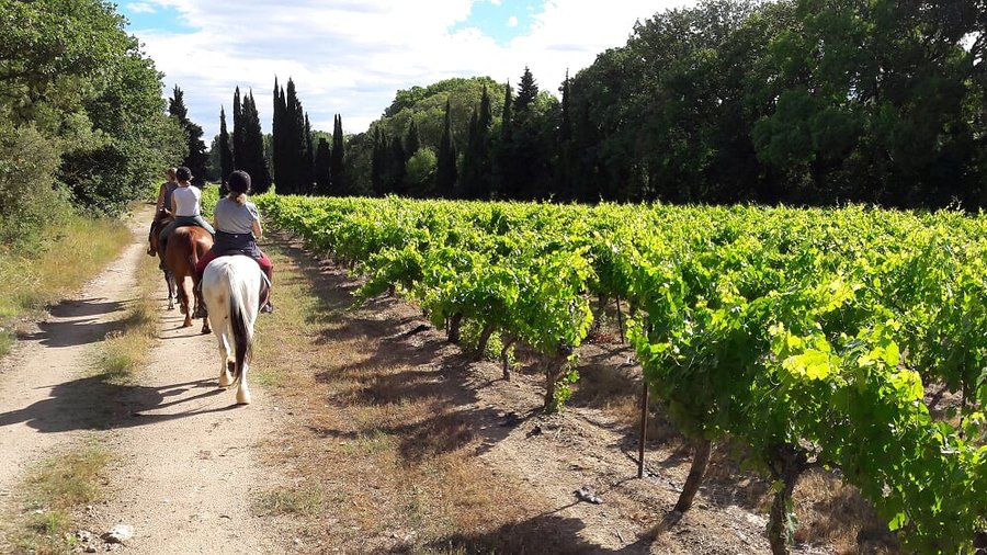 Domaine AbracadaRoom : Hôtel Les Prés du Roi, Domaine de Massereau - Image 8
