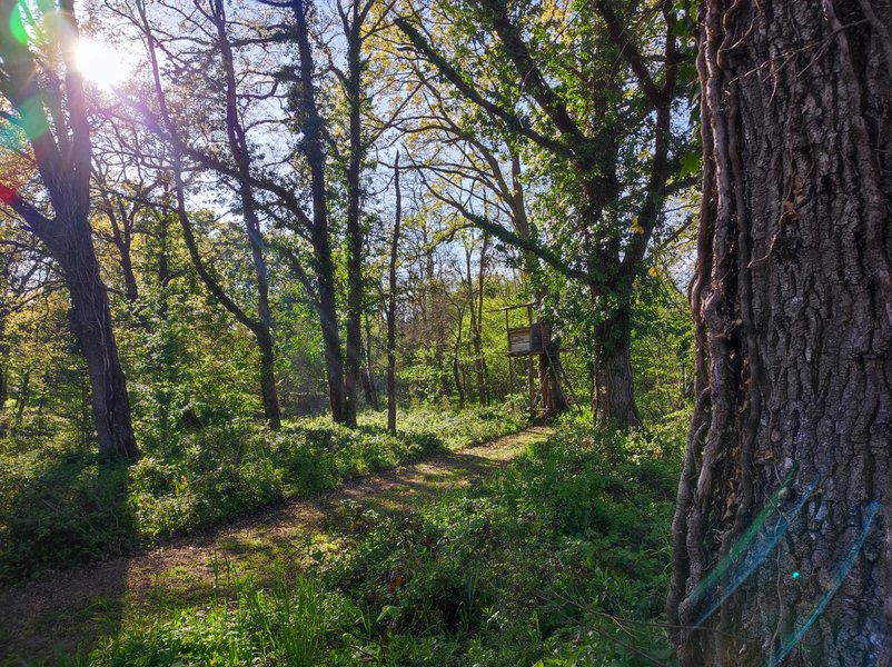 Domaine AbracadaRoom : Cabane Spa et Nature - Image 1