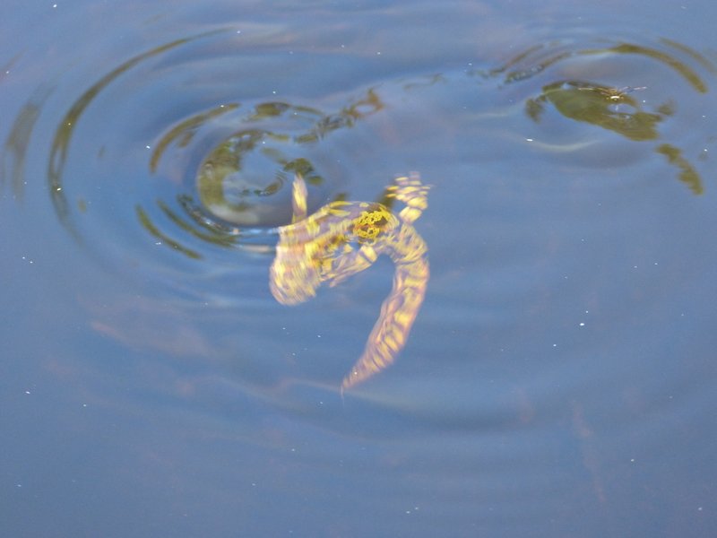 Domaine AbracadaRoom : La Croix Saint Louis - Image 7