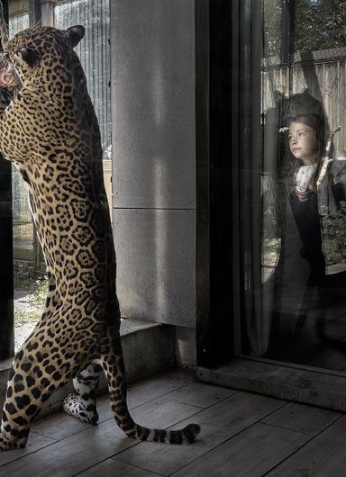 Lodge Jaguars à Pessac