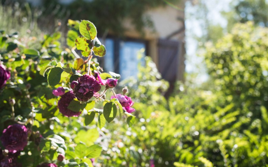 Domaine AbracadaRoom : Village Toue des Demoiselles - Image 22