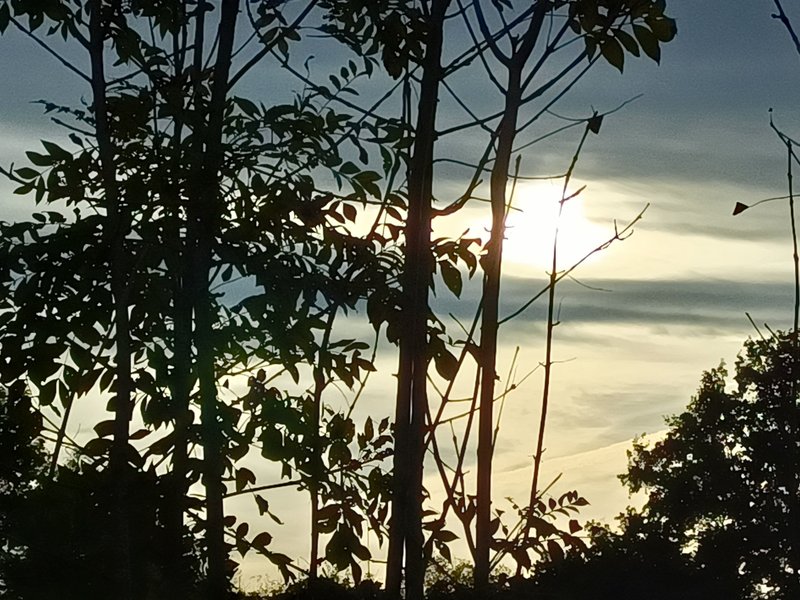 Hébergement AbracadaRoom : Reine des prés - Image 7